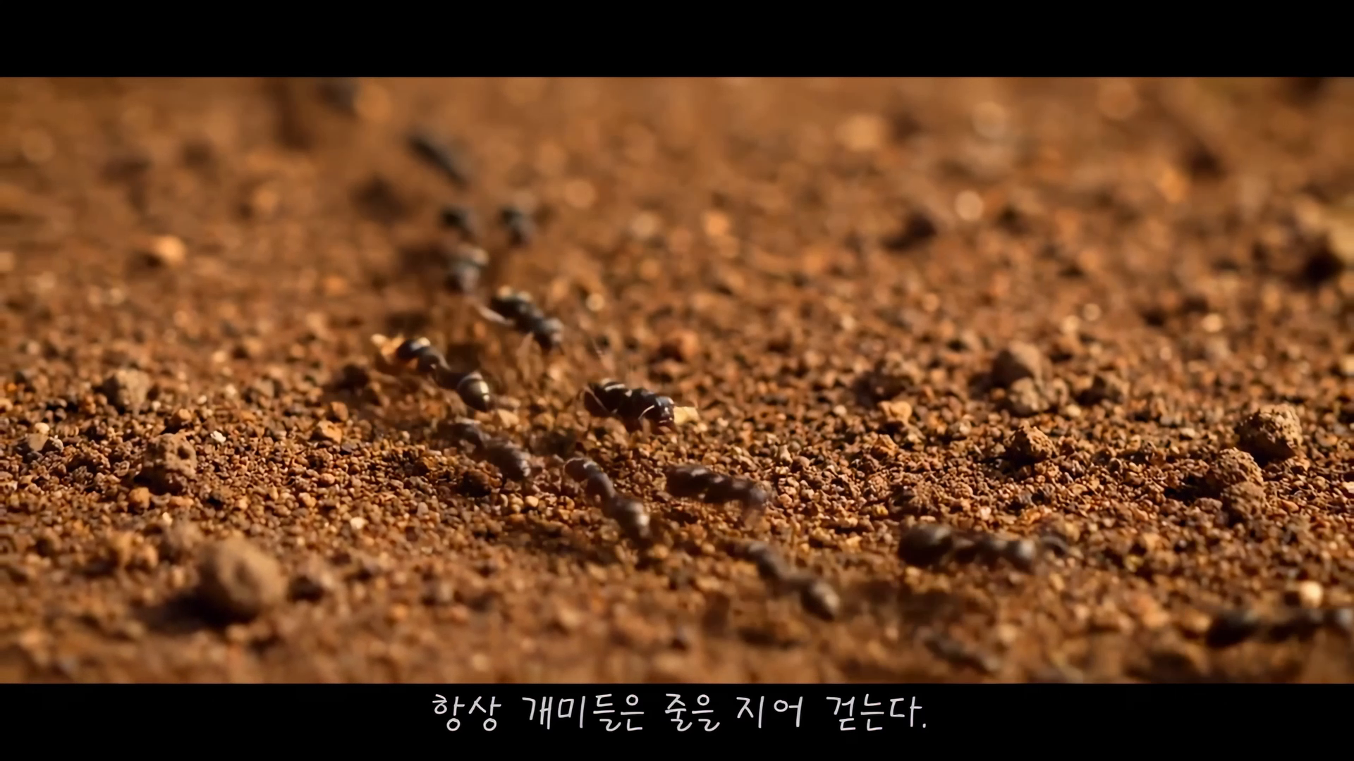 [한국도로공사] 모여서 만든 길 이미지