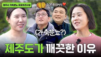 금호건설 숨은 금호 찾기 웹예능 이미지