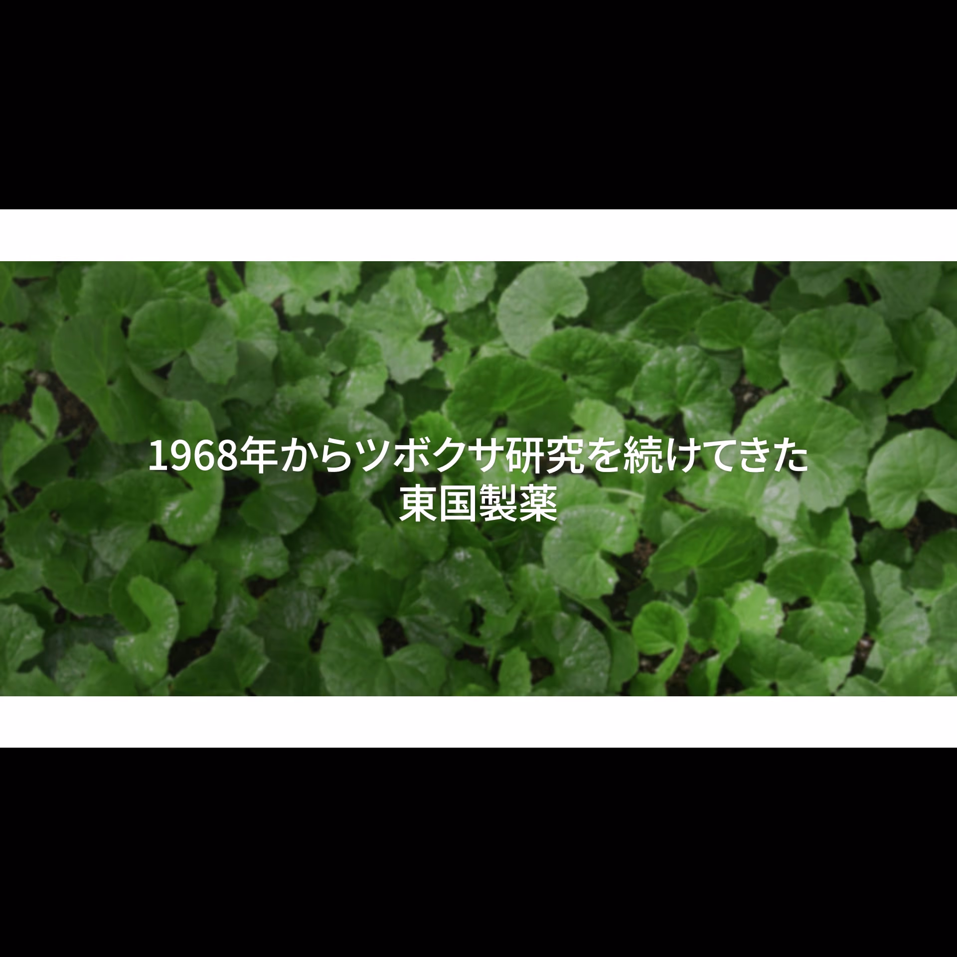 CEN24 Rebranding 이미지