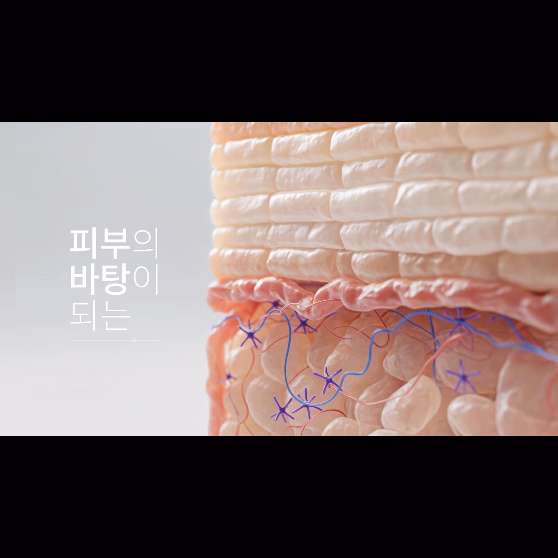 Brandfilm_Juveacell 이미지