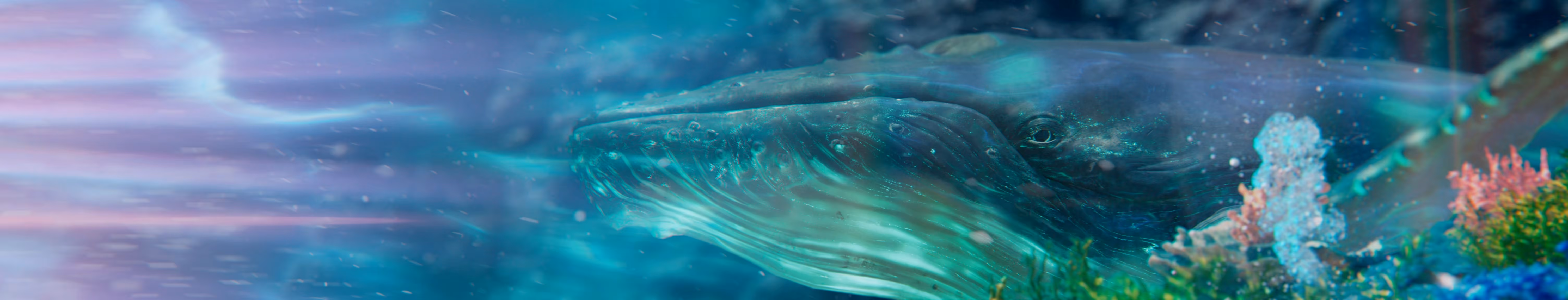 전시 브랜드 필름 Cross - Line humpback whale exhibition cinematic 이미지