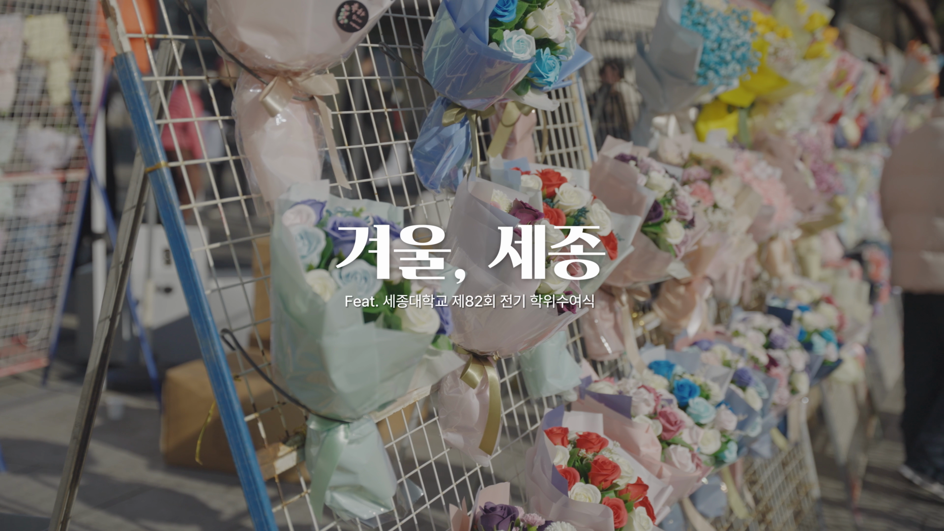 세종, 겨울-스케치영상 이미지