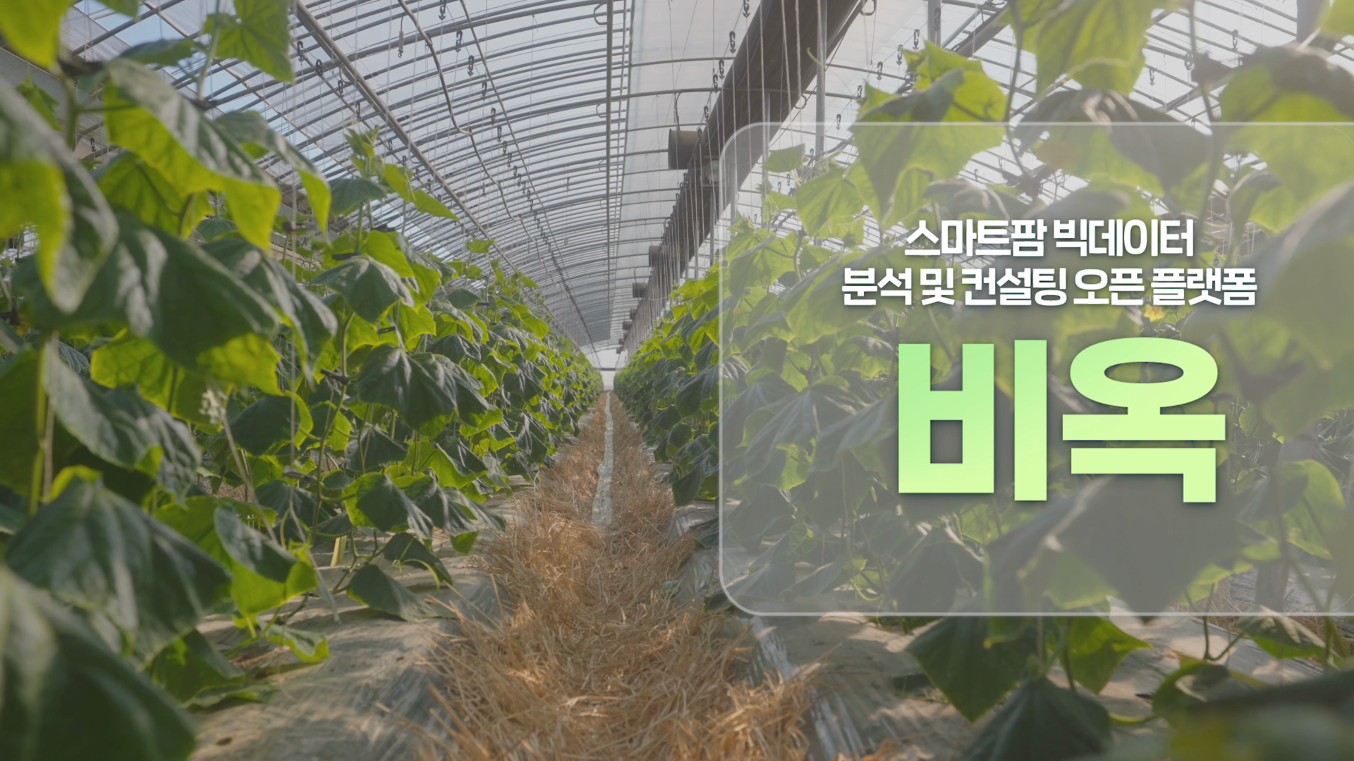 BIOC 스마트팜 빅데이터 오픈 플랫폼 홍보 영상 이미지