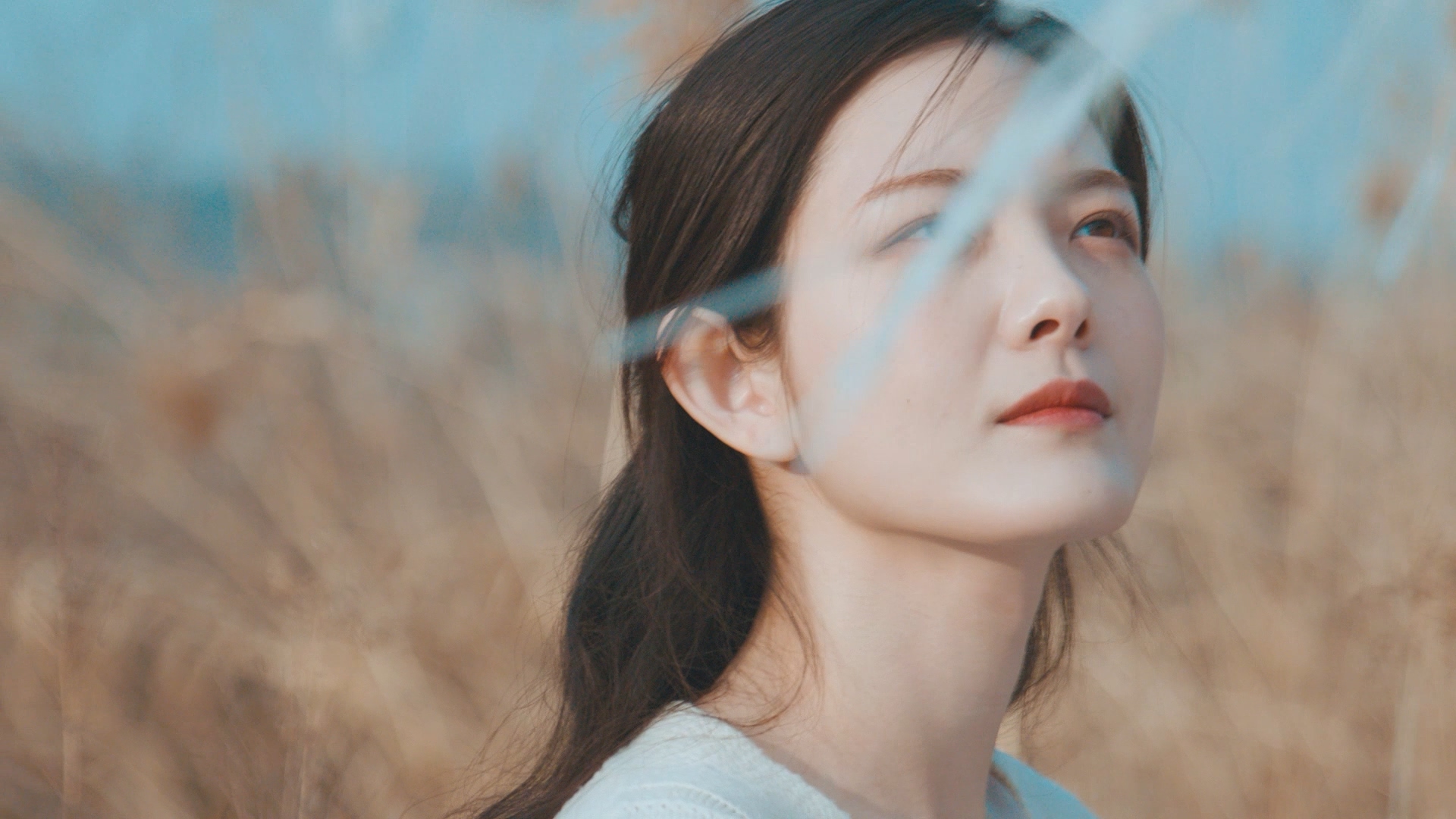 [MV] 원일 - 우리는 이미 알고 있지만 이미지
