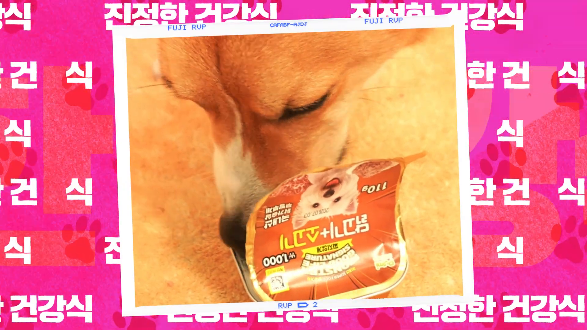 다이소 애견 간식 광고 영상 이미지