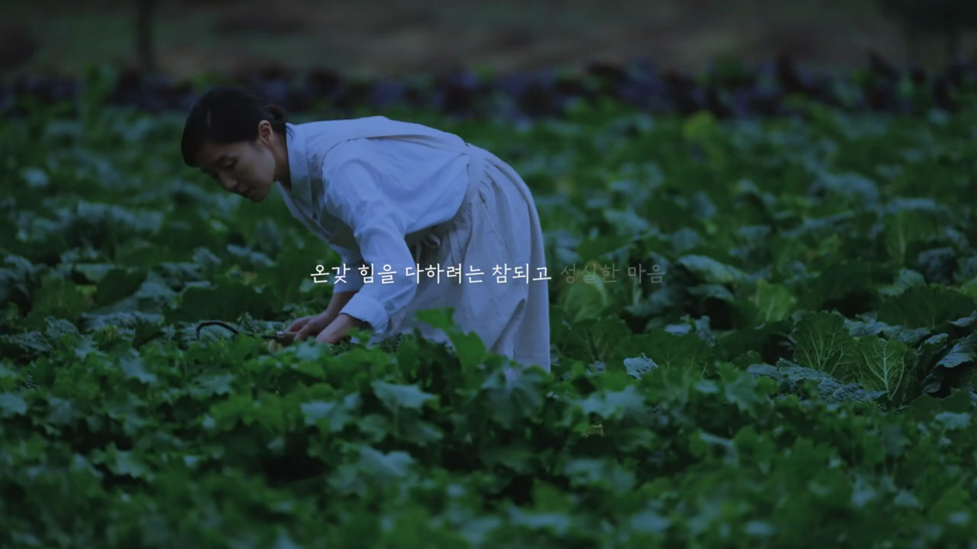 본그룹 브랜드필름 '정성' 이미지