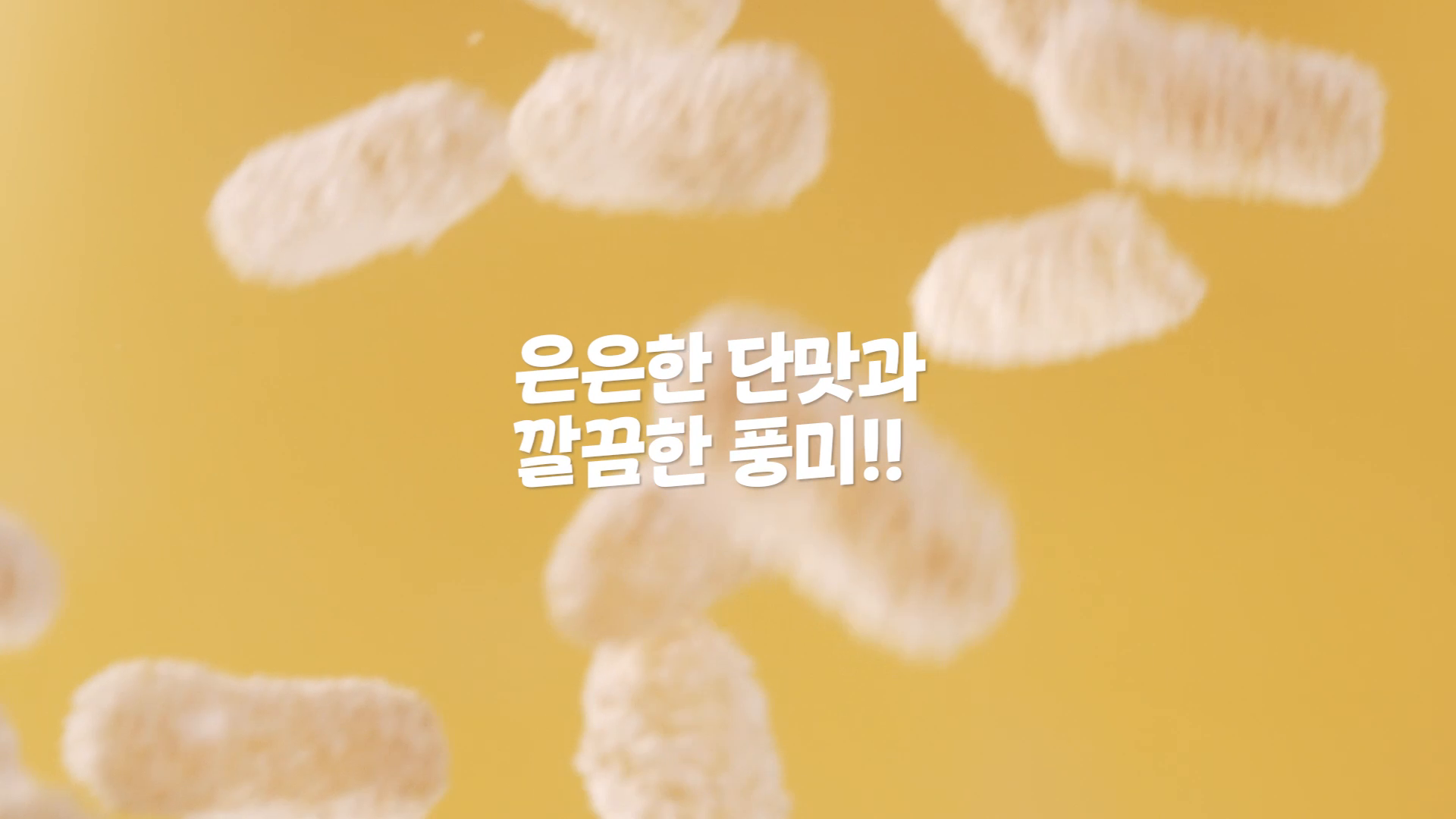 지원사업 - 씨즐영상 이미지