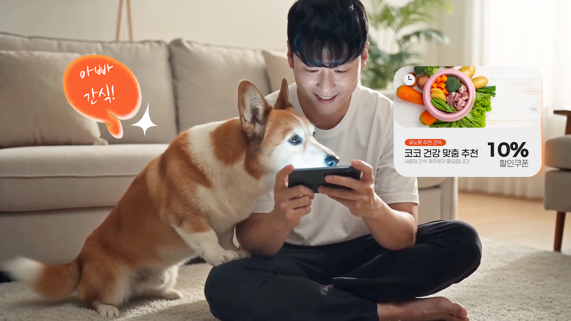 [AI영상제작] 감성 스토리텔링 브랜드 영상 | 펫서비스 1분 시네마틱 홍보 영상 이미지