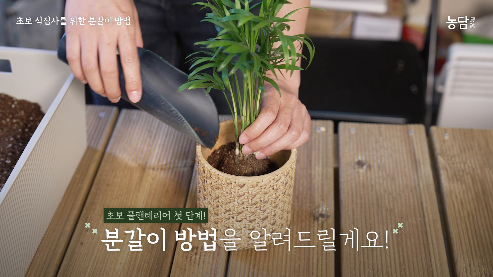 팜한농 유튜브 콘텐츠 플랜테리어 유튜브 영상 이미지
