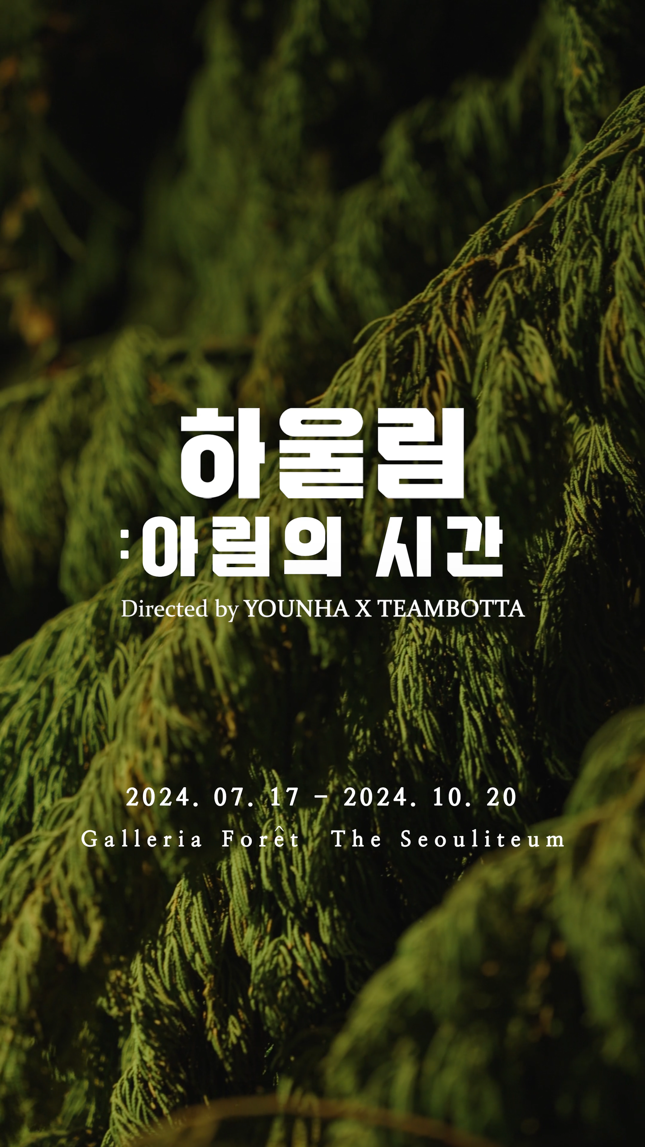 숲인터내셔널ㅣ하울림 아란의 시간 이미지