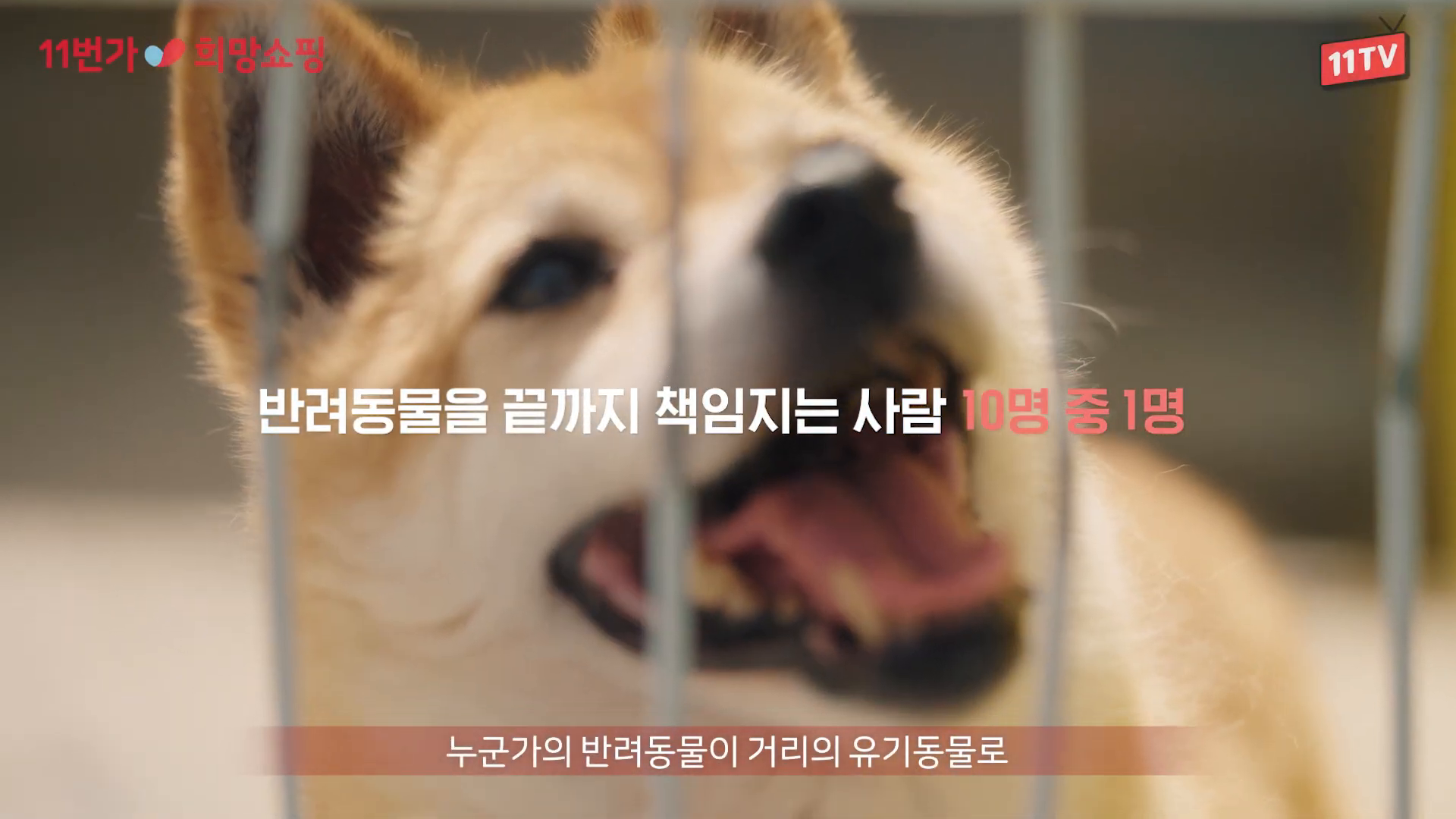 11번가 희망가득챌린지 홍보영상 이미지