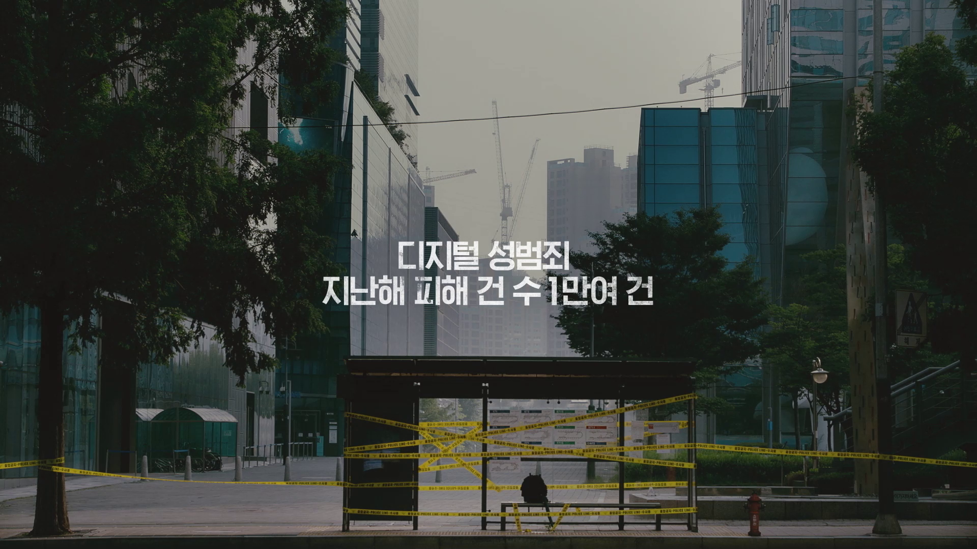 디지털성범죄  이미지